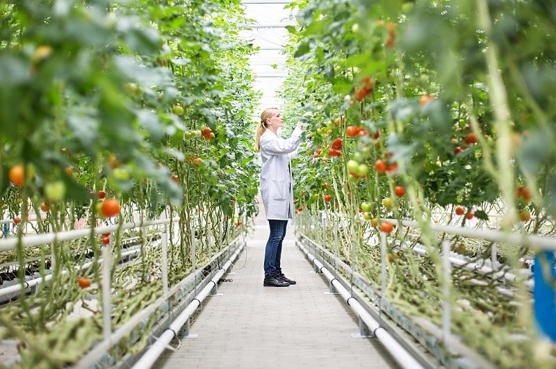 Ngành Nông học ra làm gì? Sự thật khó tin về ngành Nông học 