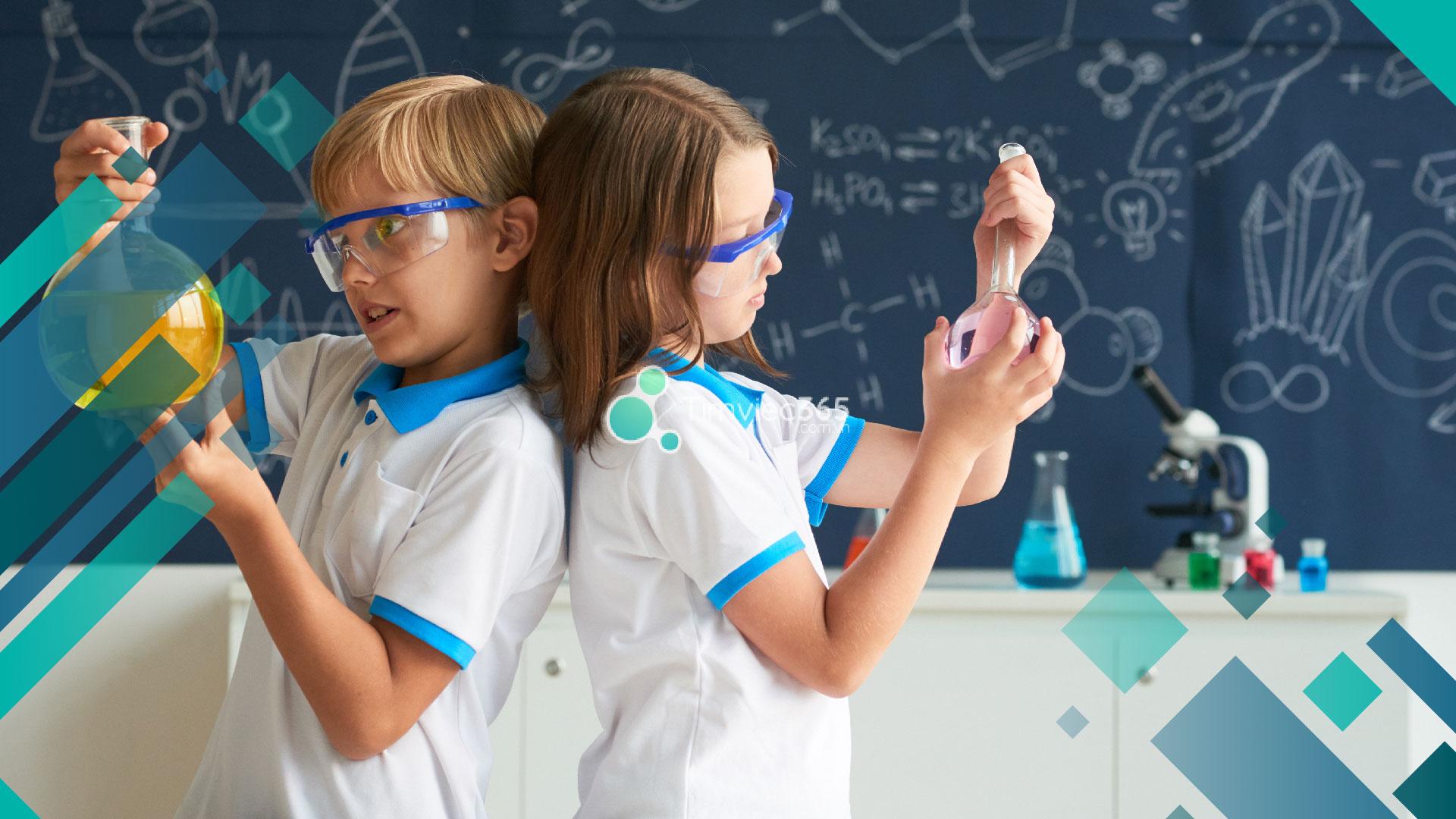 Chương trình giáo dục mầm non là gì? Giải đáp toàn bộ thông tin