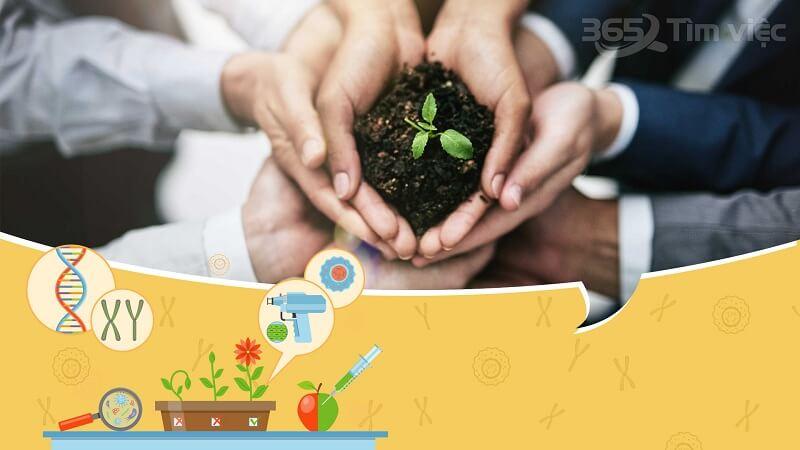 Đất lâm nghiệp là gì? Quy định đối với đất lâm nghiệp như thế nào?