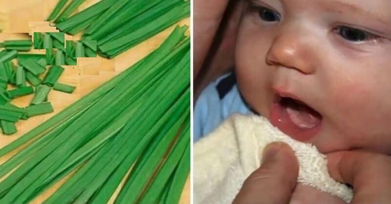 Dung dịch rơ miệng là gì? Lưu ý khi rơ miệng cho trẻ