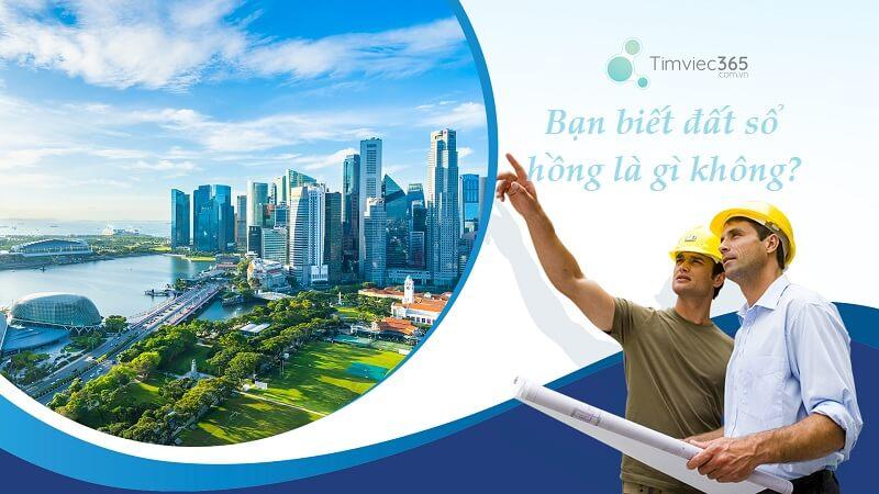 Đất sổ hồng là gì? Phân biệt chính xác nhất về sổ hồng và sổ đỏ