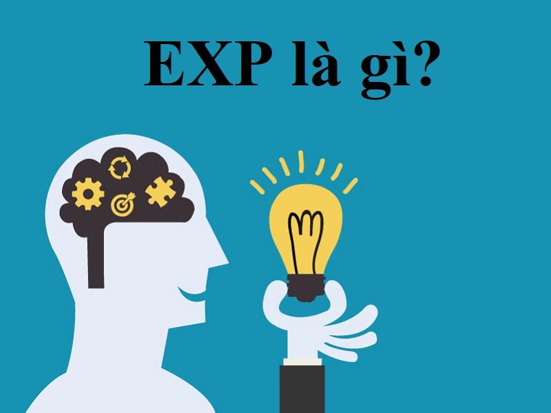 Chia sẻ thú vị về EXP là gì? Những cách hiểu theo từng lĩnh vực