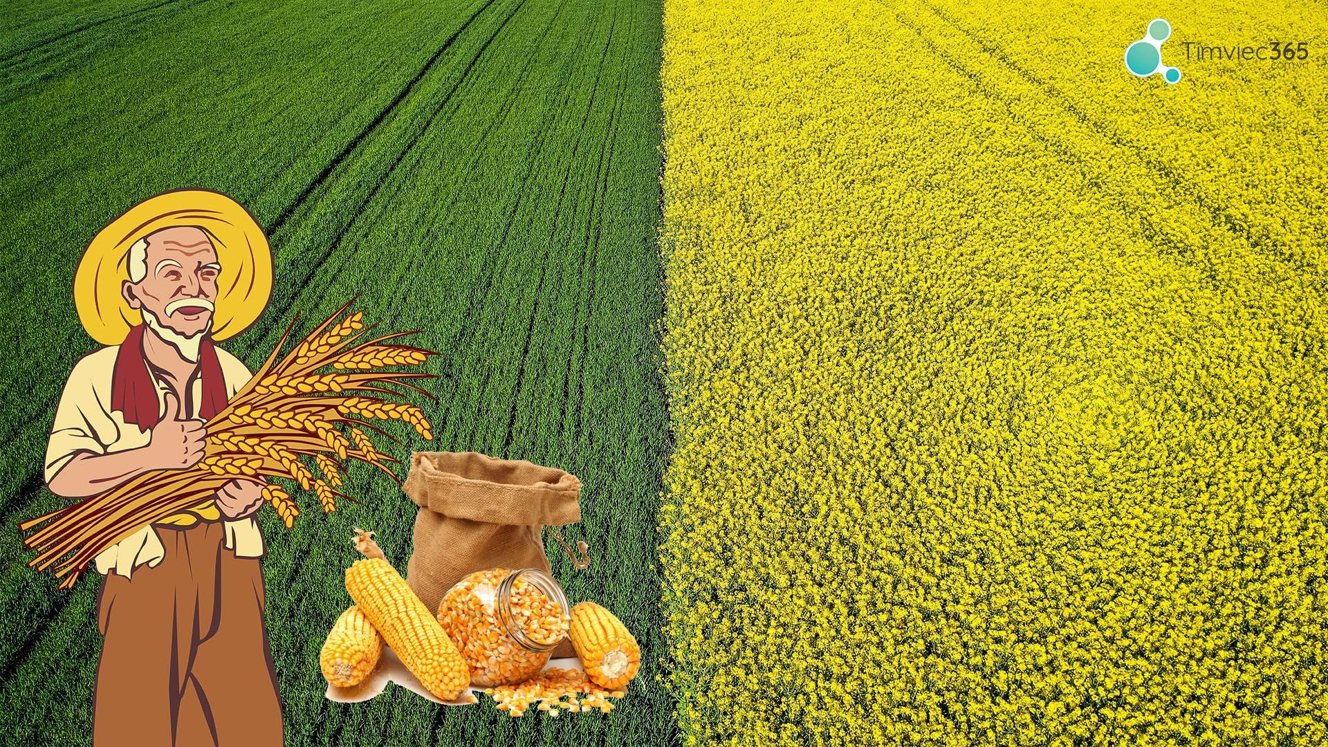 [Góc hướng nghiệp] Học Ngành bảo vệ thực vật ra làm gì?