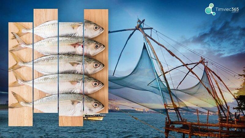 [Định hướng] Ngành nuôi trồng thủy sản ra làm gì – Cơ hội hấp dẫn