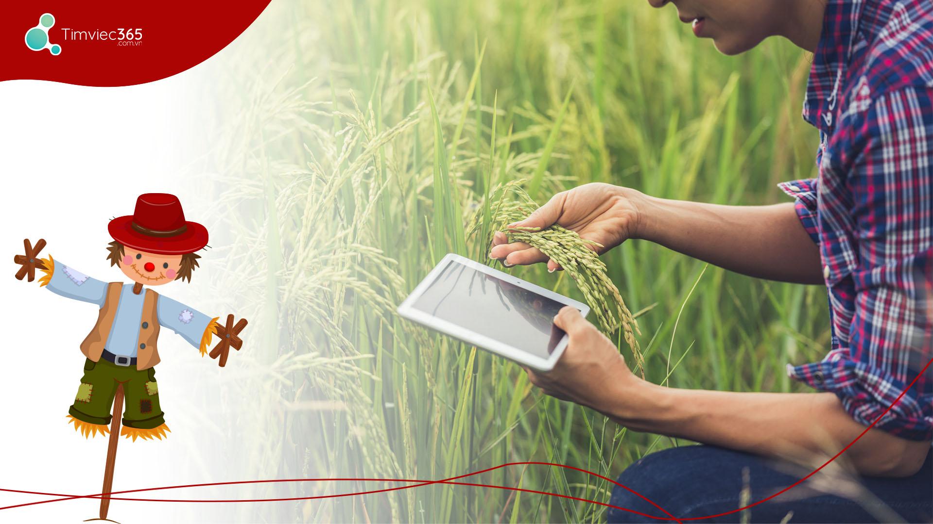 Ngành nông nghiệp ra làm gì? Những vị trí việc làm tiềm năng