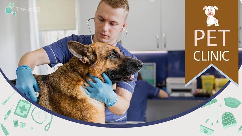 Ngành Chăn nuôi ra làm gì? Triển vọng nghề nghiệp hấp dẫn đừng bỏ lỡ