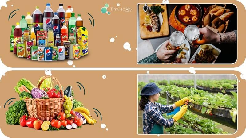 [Hỏi&Đáp] Học ngành Công nghệ thực phẩm ra trường làm gì?