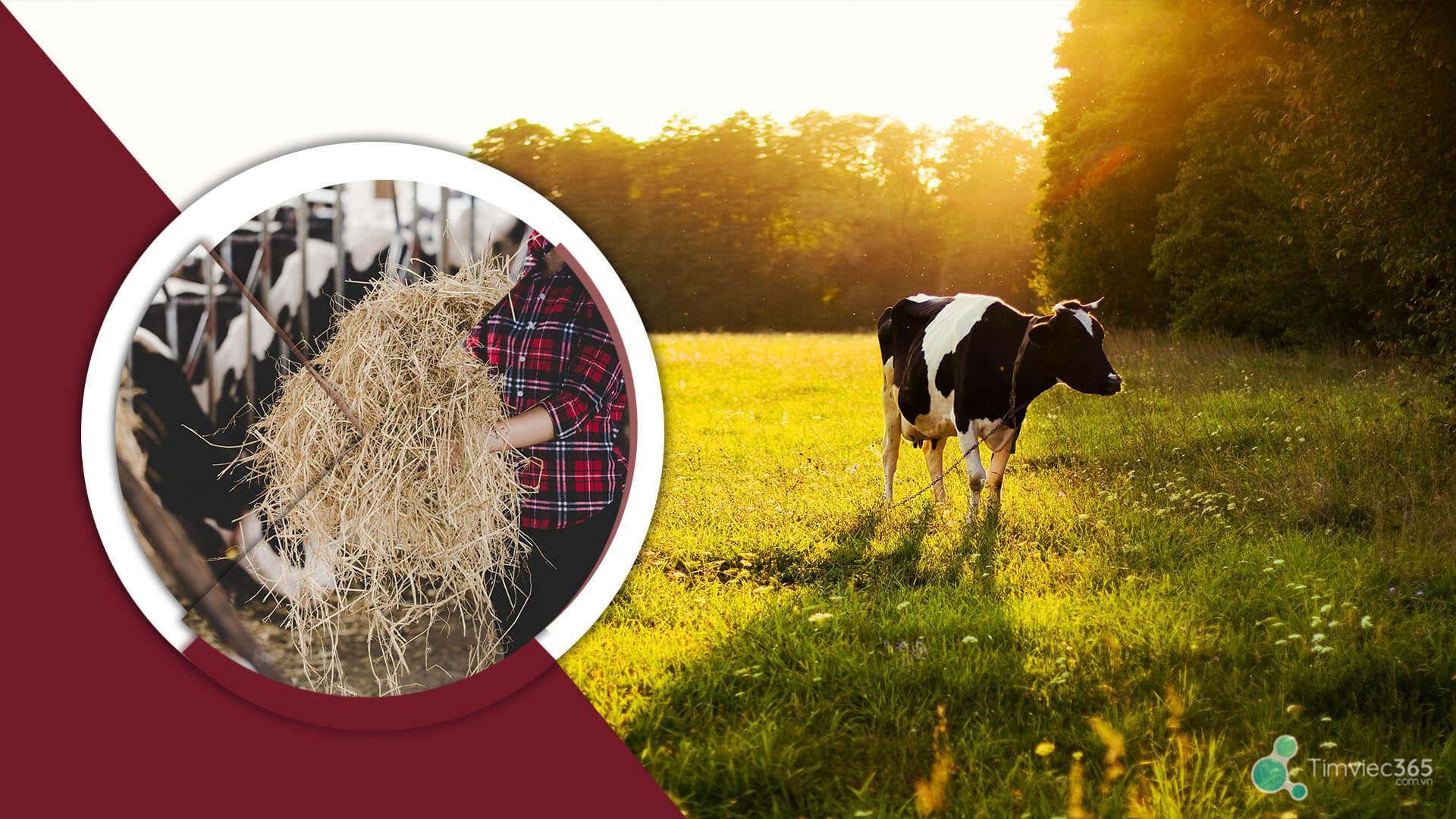 Tìm hiểu hợp tác xã là gì? Tổng hợp thông tin liên quan