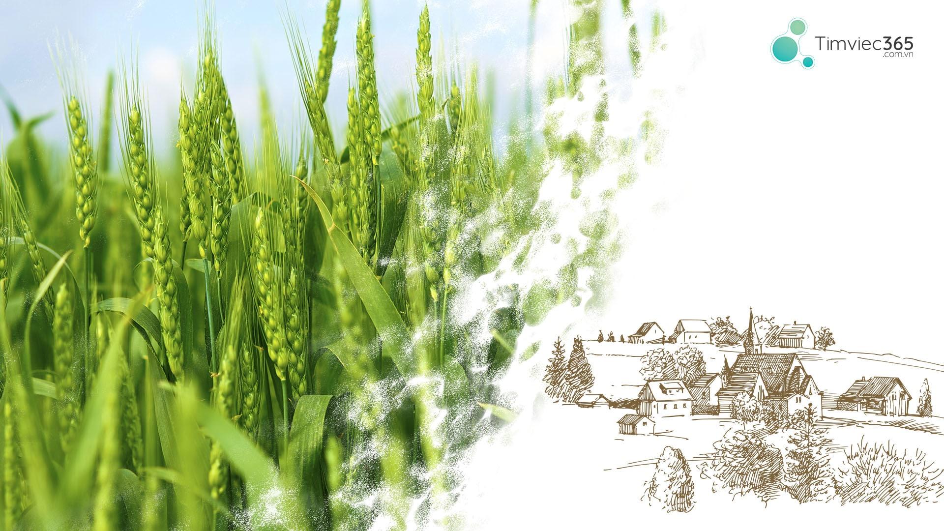 Những cơ hội cho kỹ sư nông nghiệp trong thời kỳ 4.0