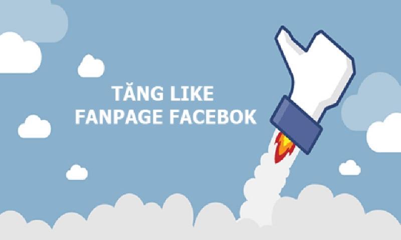 Tìm hiểu like page là gì? Đăng gì để page được nhiều like?