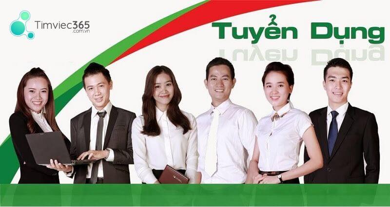 Tạo và tải mẫu CV VPBank giúp bạn thành công xin việc tại VP bank