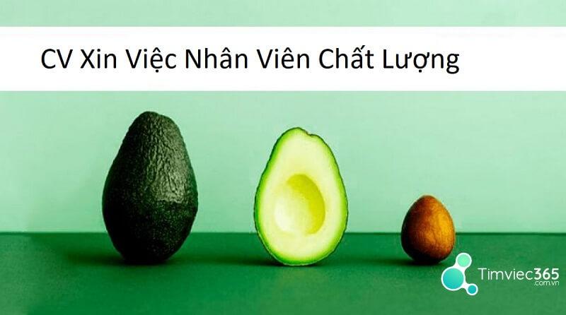 Gợi ý cách viết CV xin việc nhân viên chất lượng chuẩn nhất