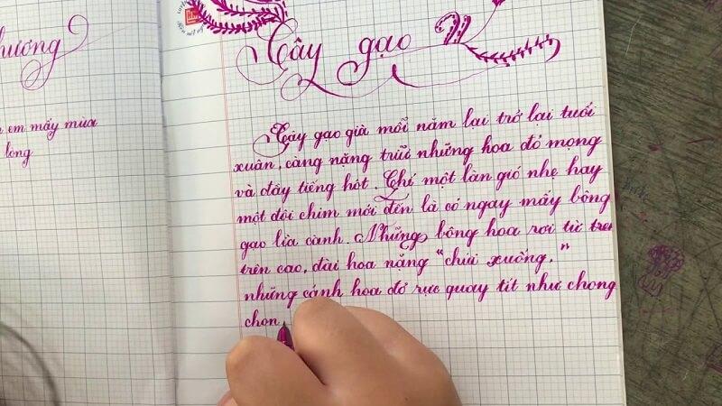 [TẢI VỀ NGAY] Những bài thi viết chữ đẹp lớp 3 mới nhất!