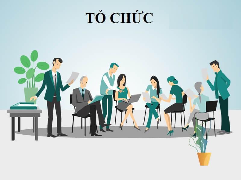 Tổ chức là gì? Kiến thức tổng quan liên quan tới tổ chức
