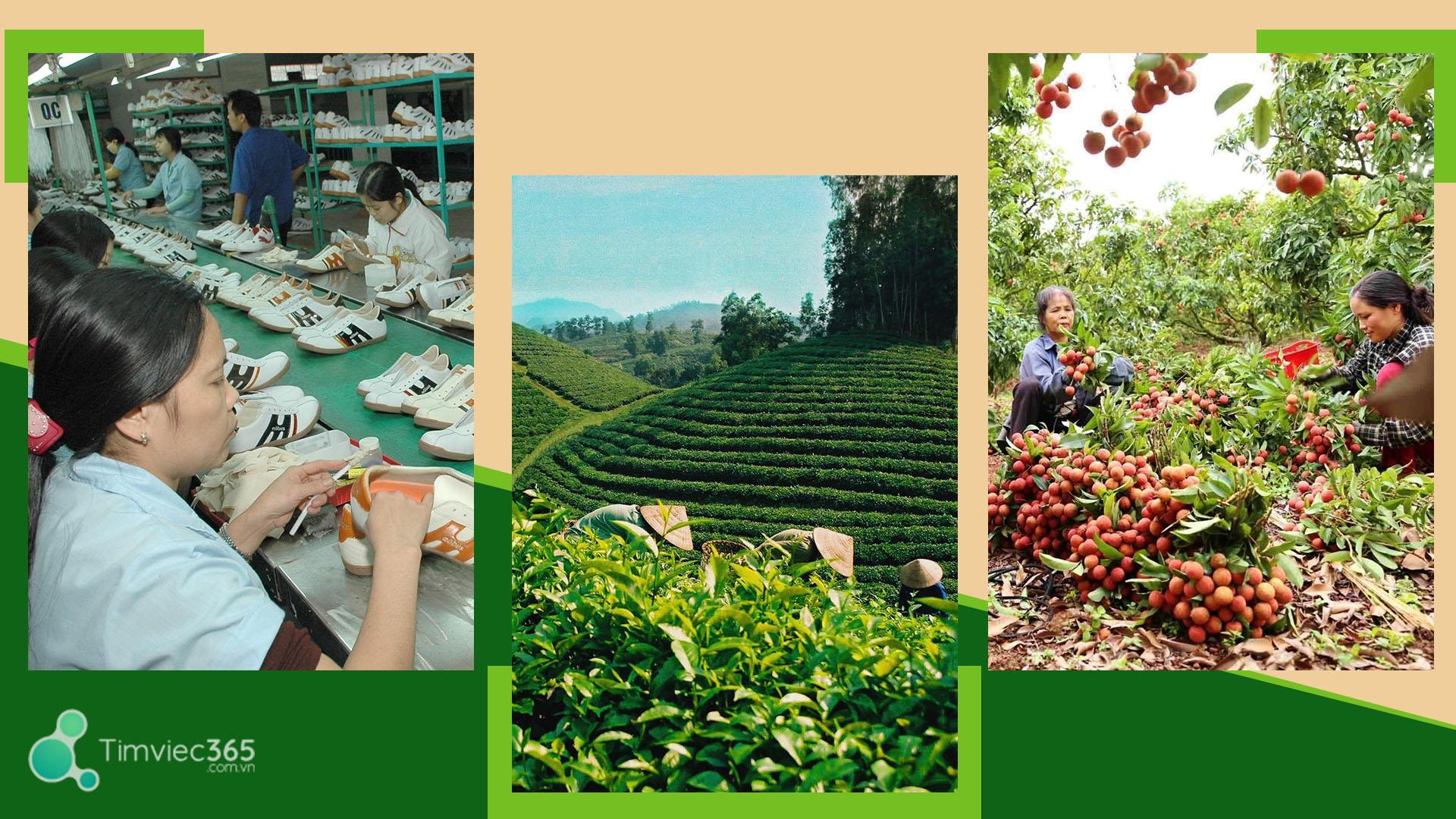 Hàng nhập khẩu là gì? Những điều cần biết về giá trị hàng nhập khẩu 