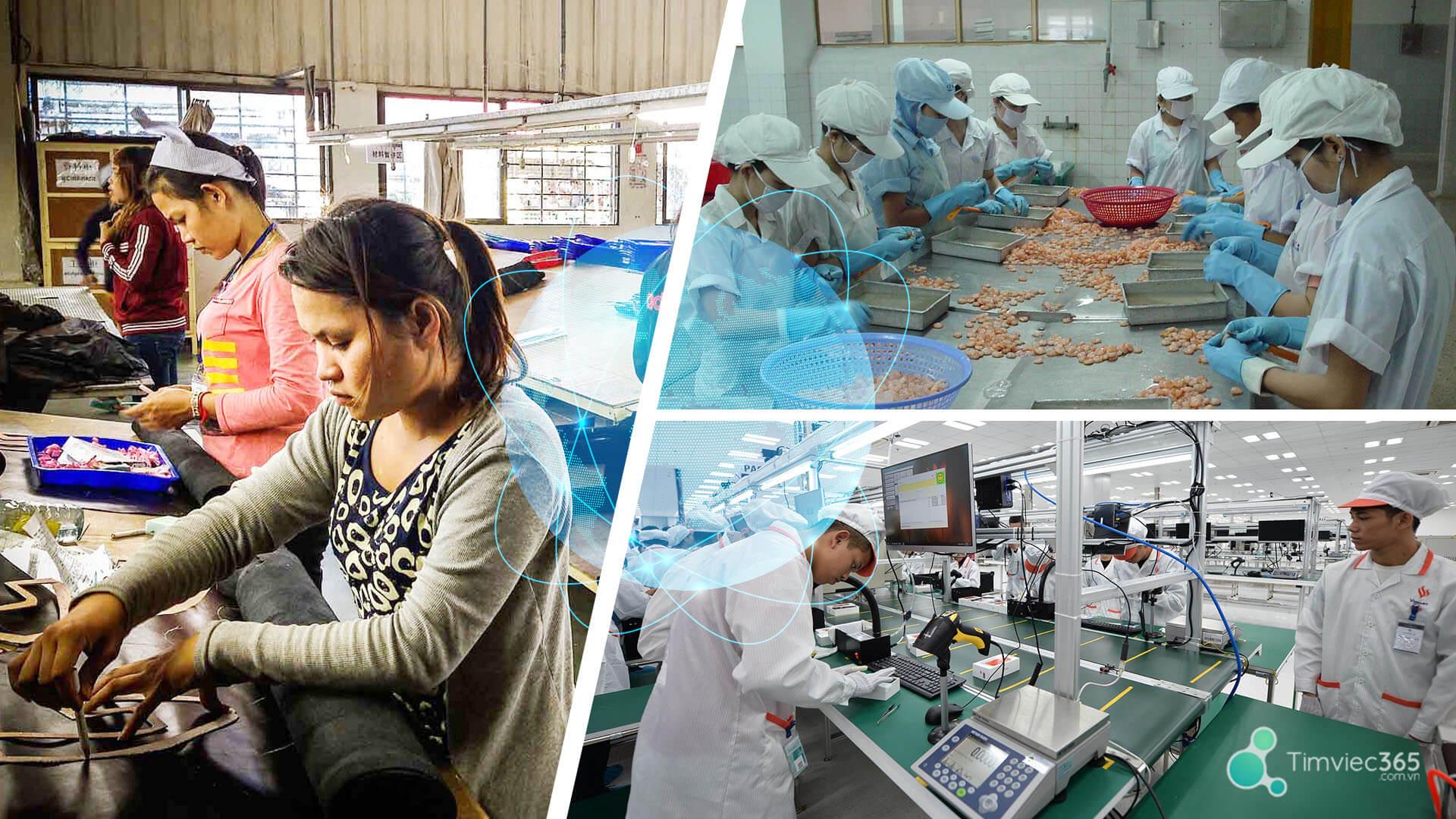 Chứng chỉ xuất xưởng là gi? Thông tin quan trọng đừng bao giờ bỏ qua