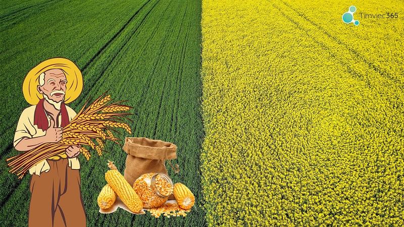 Đất nông nghiệp là gì? Chuyển đất nông nghiệp thành đất thổ cư