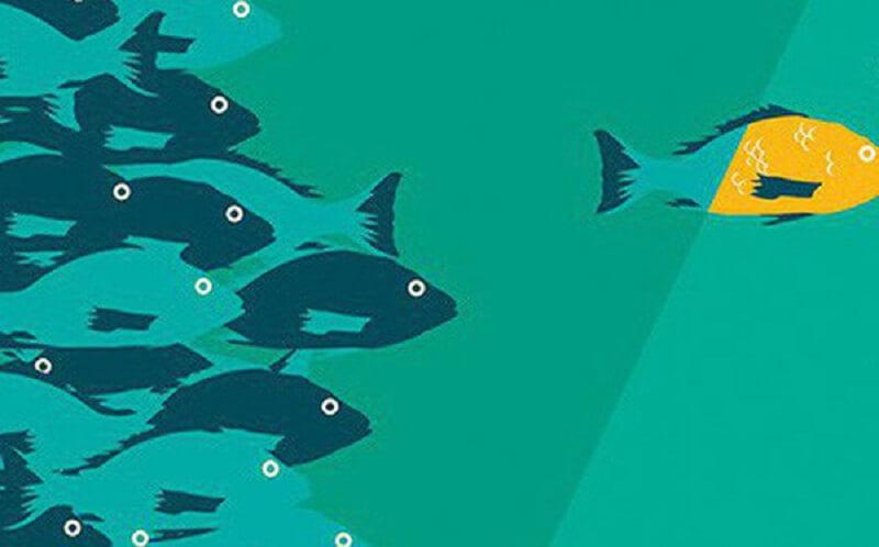 Xuất chúng là gì? Làm thế nào để nhận biết được người xuất chúng?