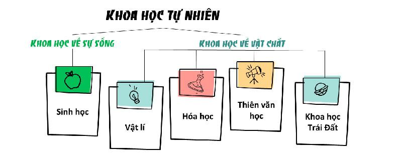 Khám phá chi tiết lĩnh vực khoa học tự nhiên gồm những ngành nào?