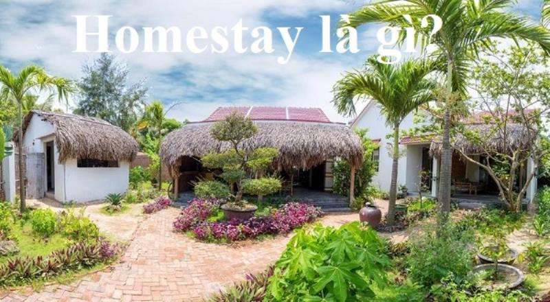 Homestay là gì? Tổng hợp những thông tin cần biết về homestay mới nhất