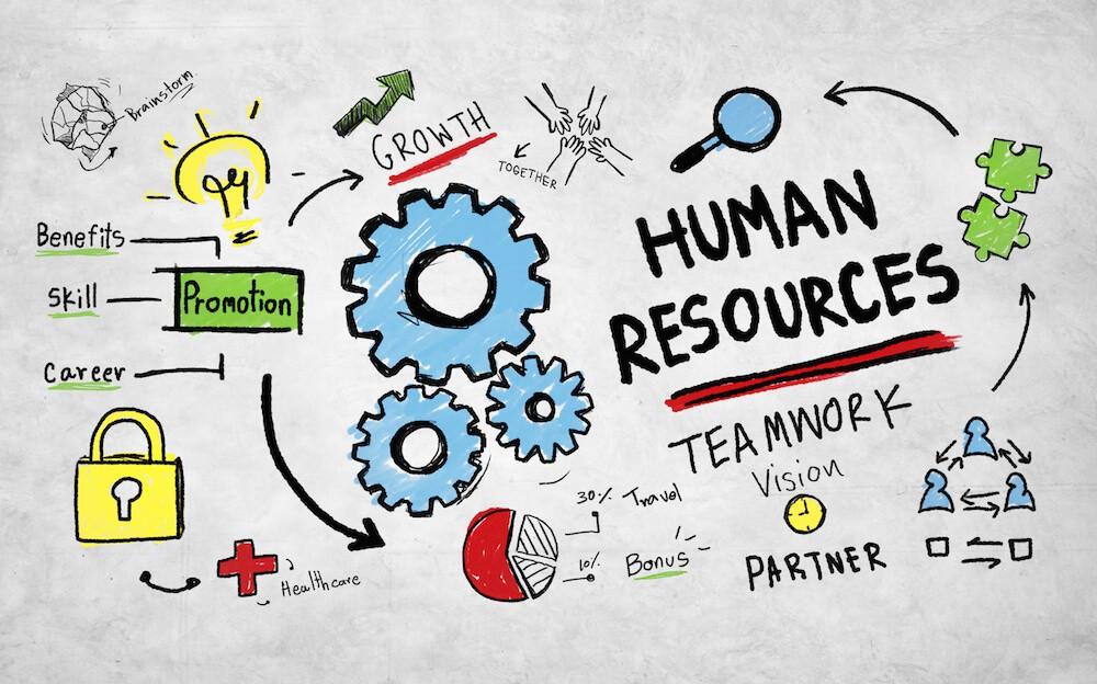 Nguồn Nhân Lực Chất Lượng Cao Là Gì? Làm Sao Để Tìm Kiếm Nhân Tài