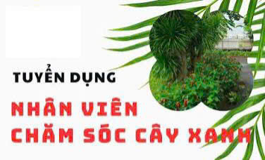Ảnh lớn